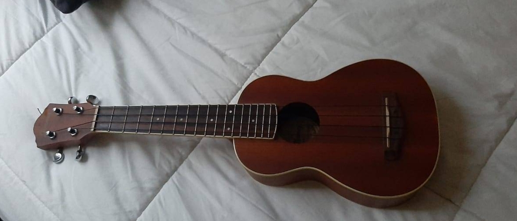 el ukulele